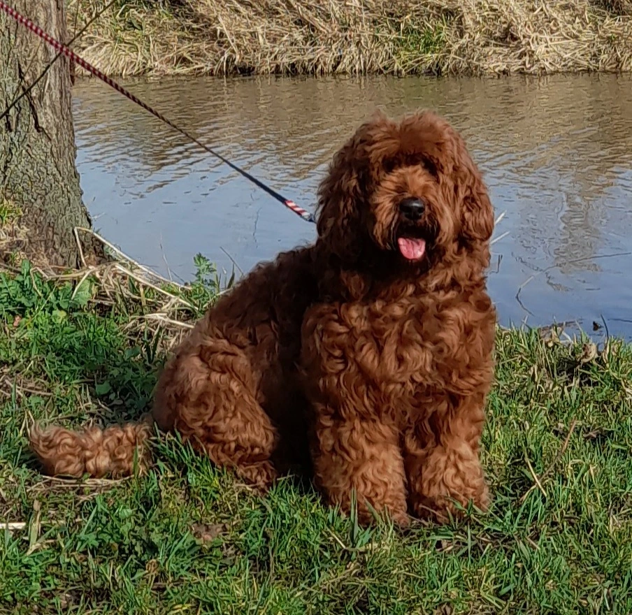 Amy, derde foto